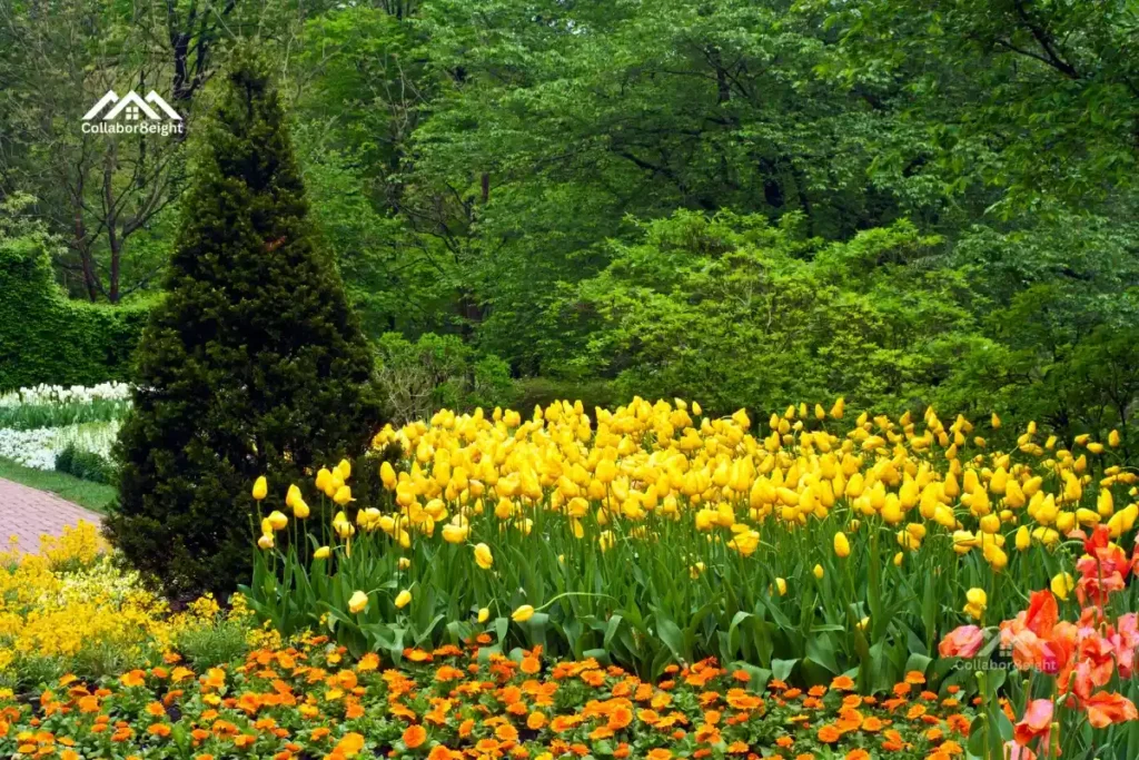 Longwood Gardens Christmas