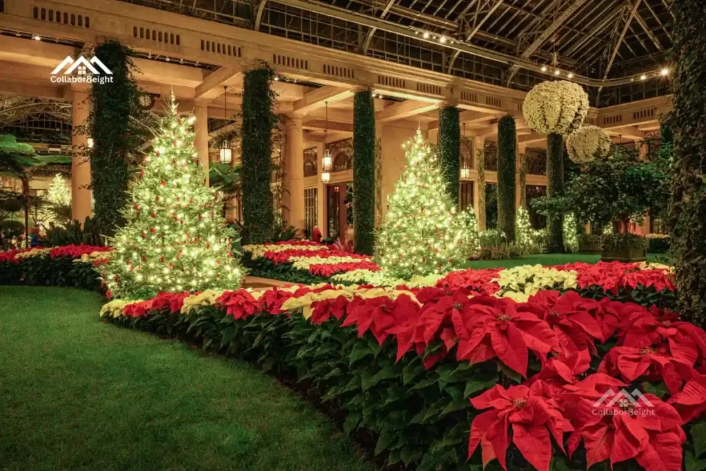 Longwood Gardens Christmas