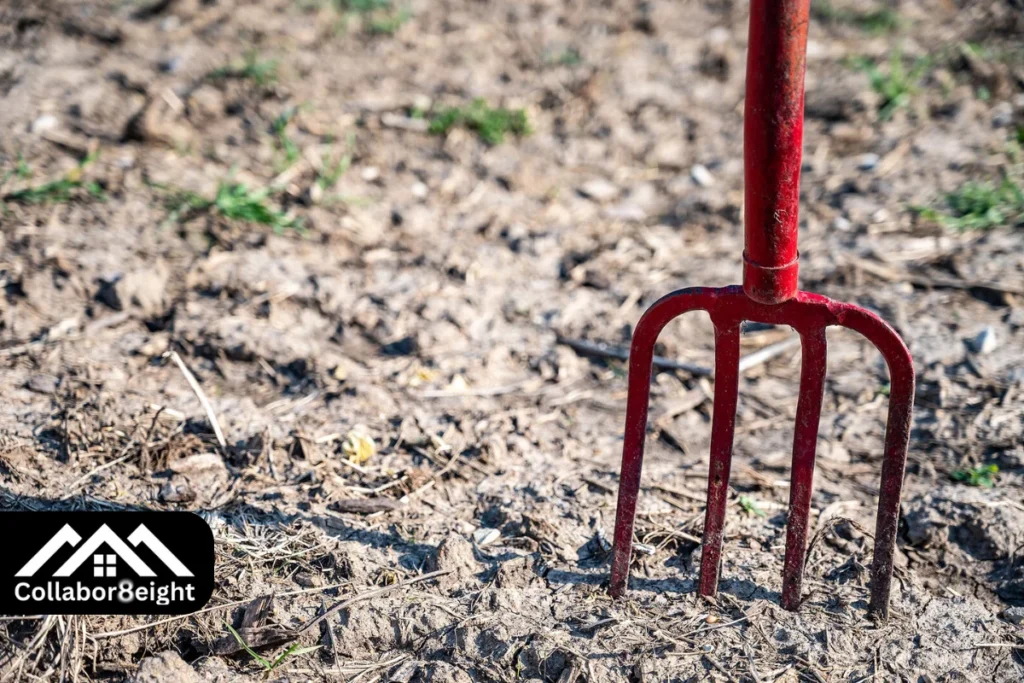 forks-gardening-top-tools-and-tips-for-a-healthy-garden-by-collabor8eight